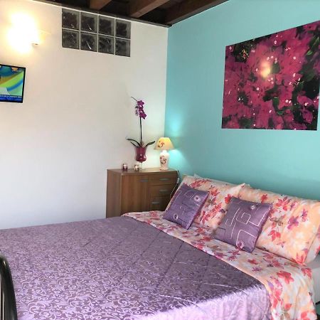 Oasi Di Paradiso - Comfy Private Apartment On Ground Floor With Terrace Desenzano del Garda Luaran gambar