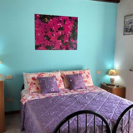 Oasi Di Paradiso - Comfy Private Apartment On Ground Floor With Terrace Desenzano del Garda Luaran gambar
