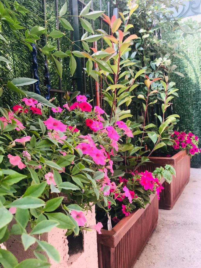 Oasi Di Paradiso - Comfy Private Apartment On Ground Floor With Terrace Desenzano del Garda Luaran gambar
